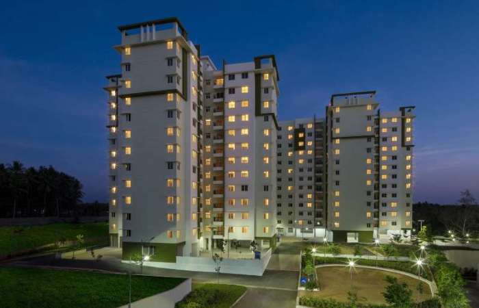 Project Gallery Image 5